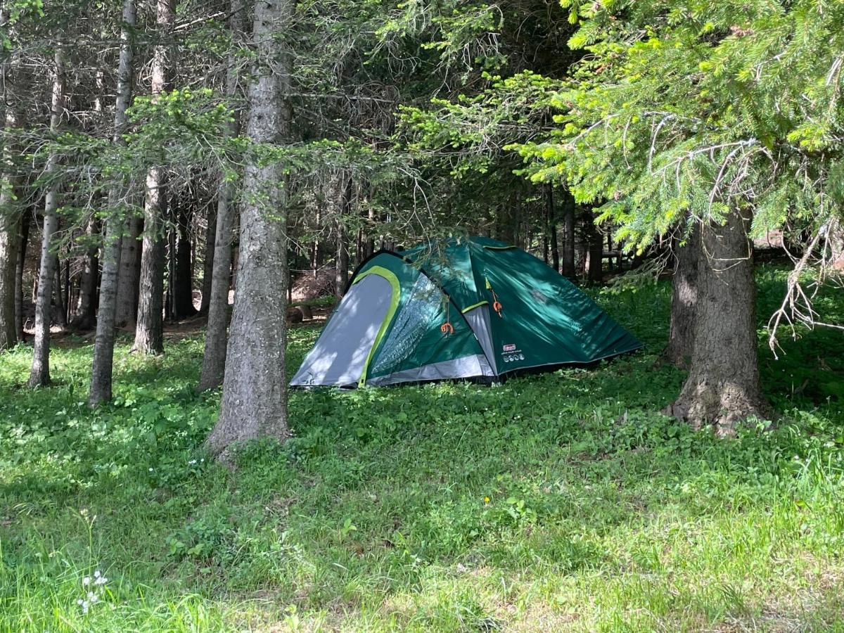 Durmitor Apartments Holiday Žabljak Exterior foto